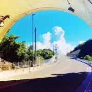 しぇりー