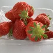 蒼い海