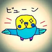 ★ひよこ★の画像