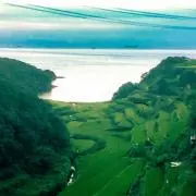 高崎ユーシー ハモニ