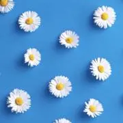 ななの画像