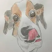 じーじょの画像