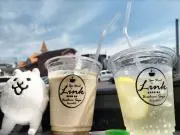 パルちゃん