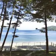 イルカの画像