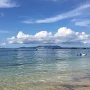 ちゃんぴーの画像