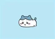 あや