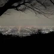 Yの画像