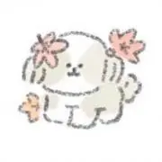 湯の画像