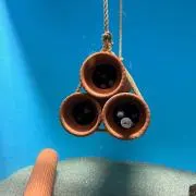 まみーさん　断捨離中！！の画像