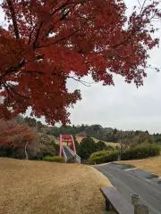 miki1327jpの画像