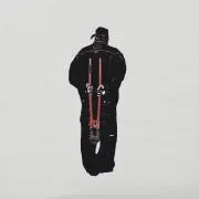 Image of パパゲニック光線