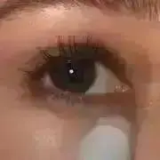 しっしの画像