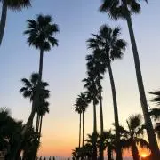 WY☆格安☆の画像