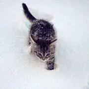 nonの画像