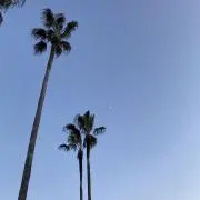 あさひの画像