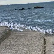 あっこの画像