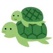 カメちゃんの画像