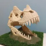 ぶるぅの画像