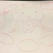 41の画像