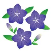 あずき❁⃘*.゜プロフお読み下さいの画像