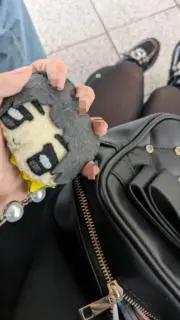 ひにゃんこ