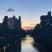すの画像