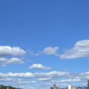 りんりんの画像