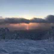タケシムの画像