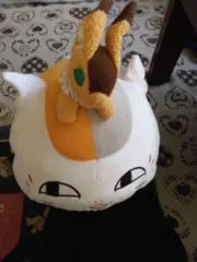 月明灯