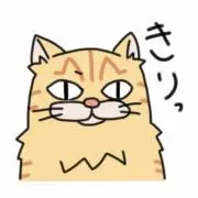 まりいの画像