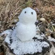 HARU‎❀̸の画像