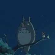 きのみの画像