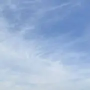 ゆずれもんの画像
