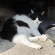 ケイ