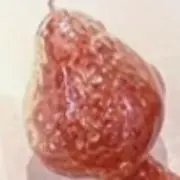 くるの画像