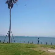 おいわいファンファーレ 2025 台紙付き 本日発送 - メルカリ