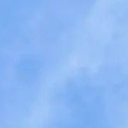 ぼんの画像