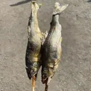 ゆうと