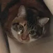 mikenyans   プロフ読んでね♪の画像