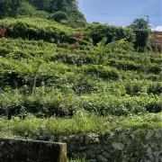 プラネットの画像