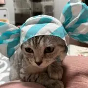 ゆゆ⭐️プロフ読んでください❗️の画像