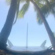 らくぼん