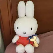 えりみの画像