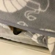 yuppinの画像