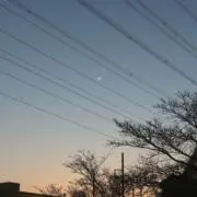 舞の画像
