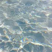 スイの画像