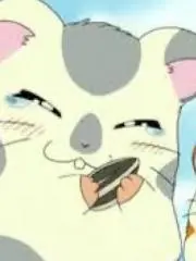 まぴん