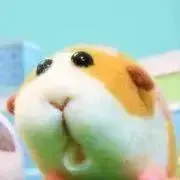 ふるかんの画像