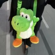 まめこの画像