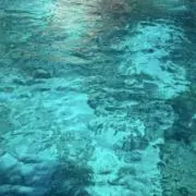 らららんの画像